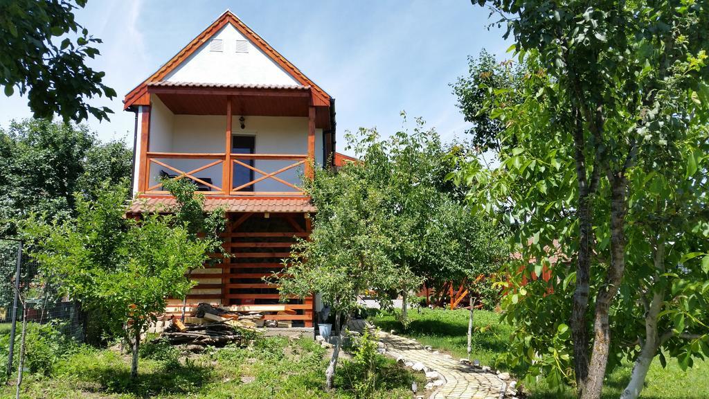 Fantanele  Casa Agnes Vendeghaz酒店 外观 照片